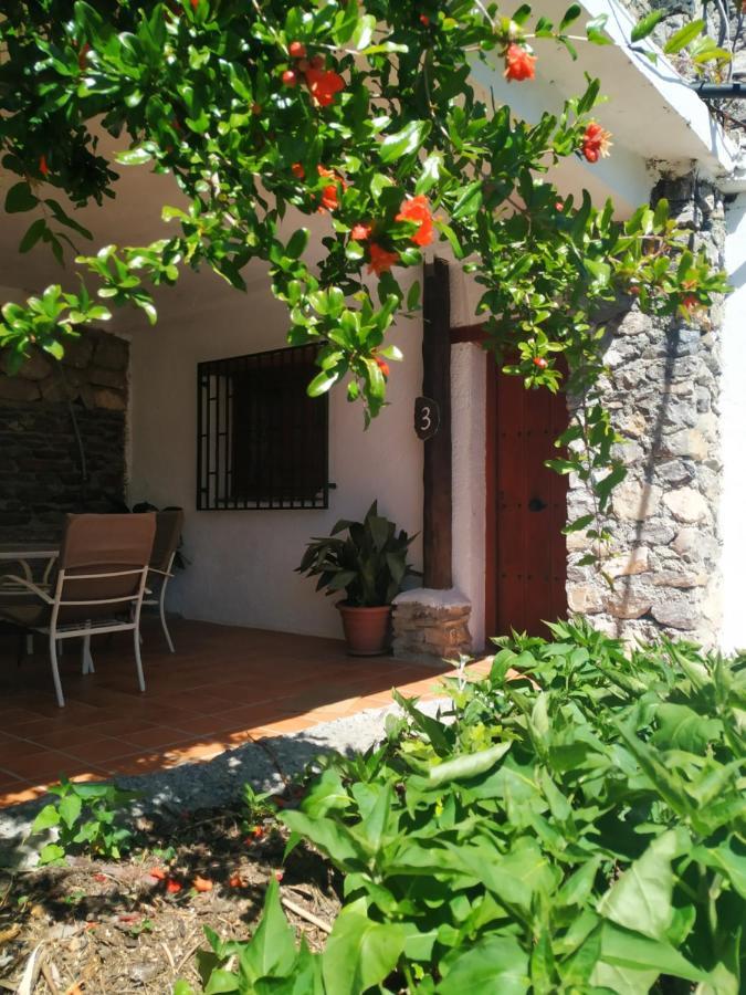 Penzion Cortijo La Solana Guejar Sierra Exteriér fotografie